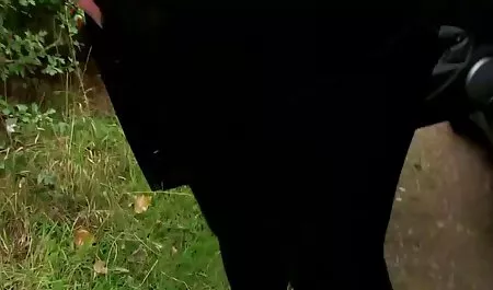 Перископ дівчина трахаються на кухні порно відео онлайн Зрілі